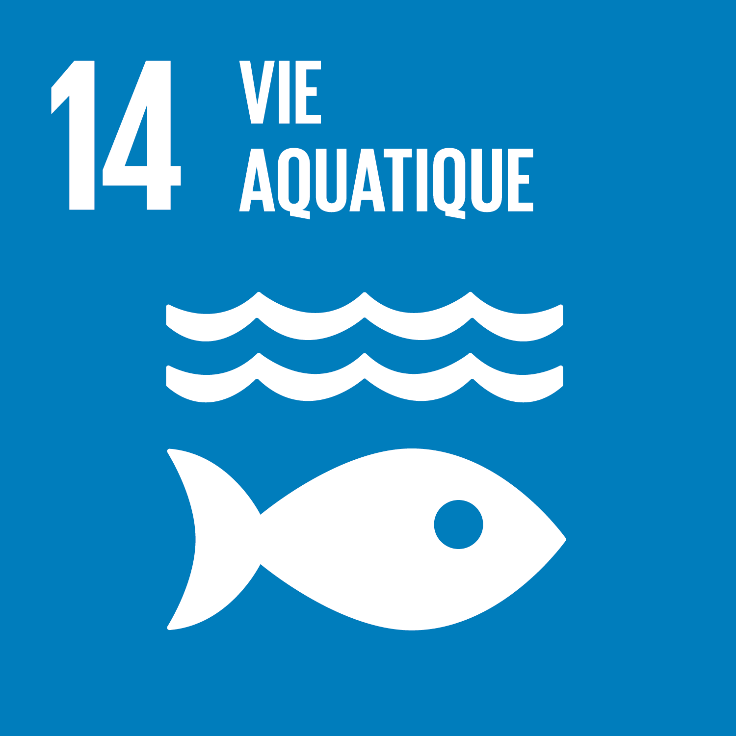 ODD 14, vie aquatique